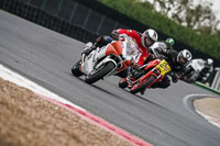 Advanced Group Multicolour Bikes